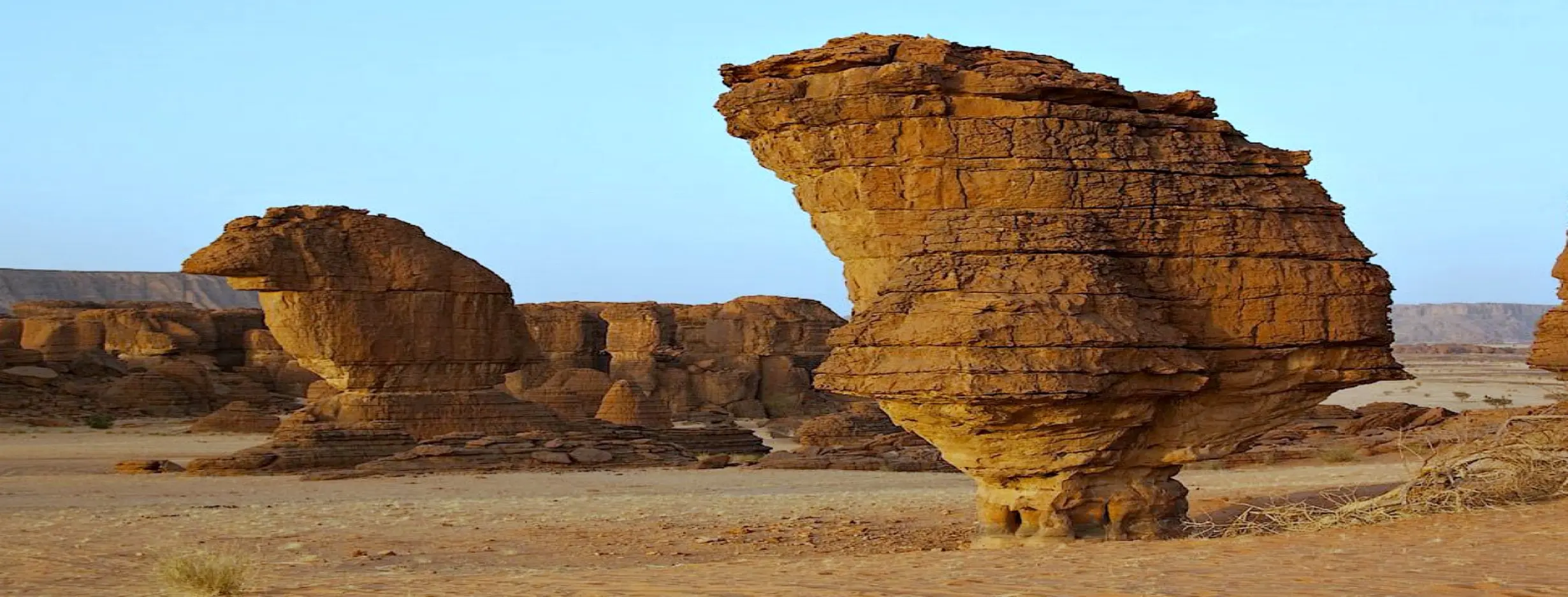 Image for Ennedi Desert